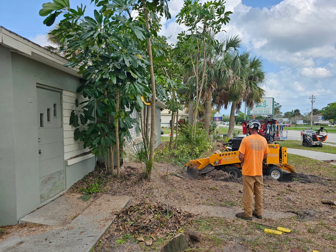 Stump Grinding